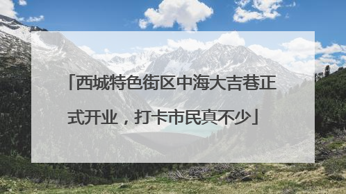 西城特色街区中海大吉巷正式开业，打卡市民真不少