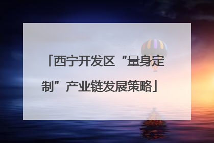 西宁开发区“量身定制”产业链发展策略