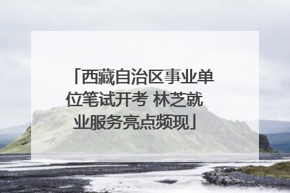 西藏自治区事业单位笔试开考 林芝就业服务亮点频现