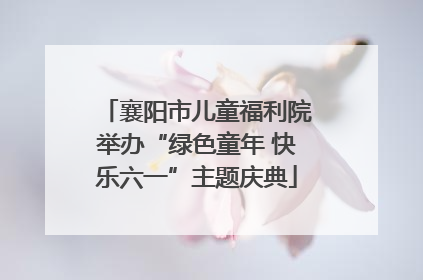 襄阳市儿童福利院举办“绿色童年 快乐六一”主题庆典