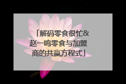 解码零食很忙&赵一鸣零食与加盟商的共赢方程式