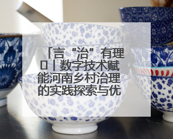 言“治”有理⑪丨数字技术赋能河南乡村治理的实践探索与优化路径