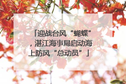 迎战台风“蝴蝶”，湛江海事局启动海上防风“总动员”