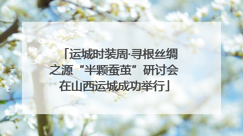 运城时装周·寻根丝绸之源“半颗蚕茧”研讨会在山西运城成功举行