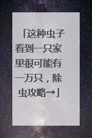 这种虫子看到一只家里很可能有一万只，除虫攻略→