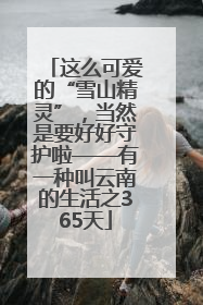 这么可爱的“雪山精灵”，当然是要好好守护啦——有一种叫云南的生活之365天
