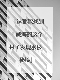 这都能找到！威海的这个村子发现水杉秘境