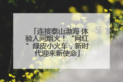 连接泰山渤海 体验人间烟火！“网红”绿皮小火车，新时代迎来新使命