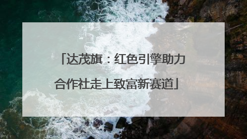 达茂旗：红色引擎助力合作社走上致富新赛道