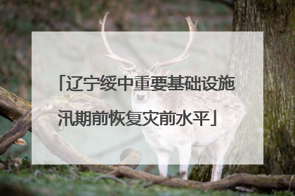 辽宁绥中重要基础设施汛期前恢复灾前水平