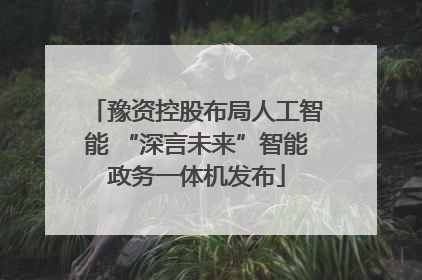 豫资控股布局人工智能 “深言未来”智能政务一体机发布