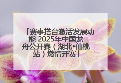 赛事搭台激活发展动能 2025年中国龙舟公开赛（湖北•仙桃站）燃情开赛