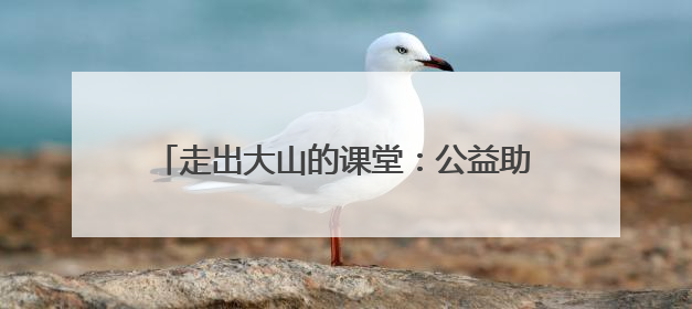 走出大山的课堂：公益助力乡村学生触摸千年文脉