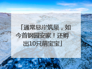 通常悬崖筑巢，如今首钢园安家！还孵出10只萌宝宝
