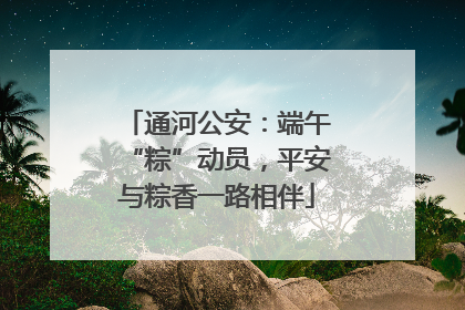 通河公安：端午“粽”动员，平安与粽香一路相伴