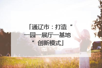 通辽市：打造“一园一展厅一基地”创新模式