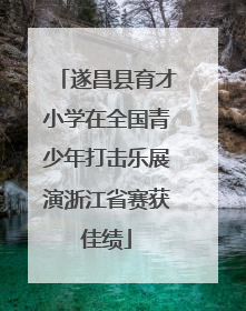 遂昌县育才小学在全国青少年打击乐展演浙江省赛获佳绩