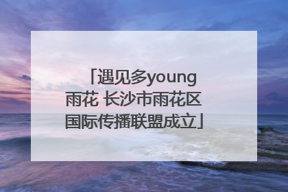 遇见多young雨花 长沙市雨花区国际传播联盟成立