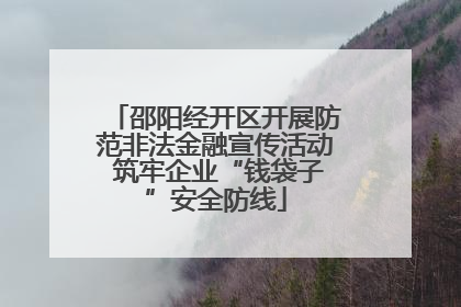 邵阳经开区开展防范非法金融宣传活动 筑牢企业“钱袋子”安全防线