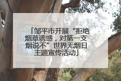 邹平市开展“拒绝烟草诱惑，对第一支烟说不”世界无烟日主题宣传活动