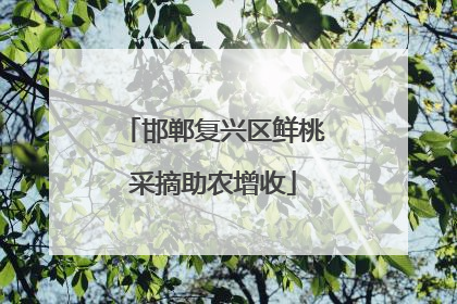 邯郸复兴区鲜桃采摘助农增收