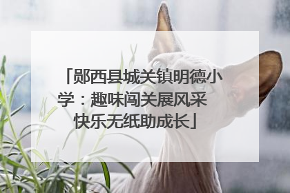 郧西县城关镇明德小学：趣味闯关展风采 快乐无纸助成长