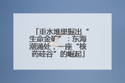 重水堆里掘出“生命金矿”：东海潮涌处，一座“核药硅谷”的崛起