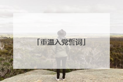 重温入党誓词