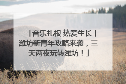 音乐扎根 热爱生长丨潍坊新青年攻略来袭，三天两夜玩转潍坊！
