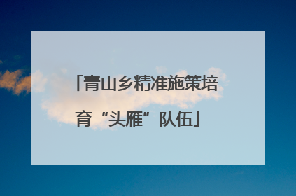 青山乡精准施策培育“头雁”队伍
