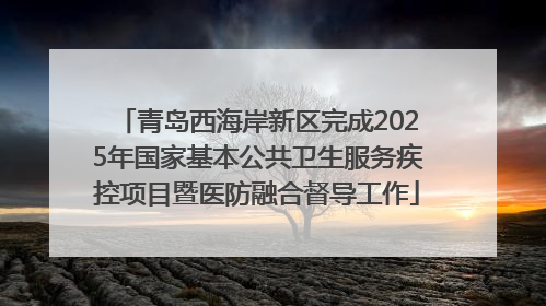 青岛西海岸新区完成2025年国家基本公共卫生服务疾控项目暨医防融合督导工作