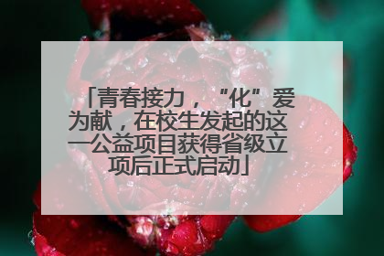 青春接力，“化”爱为献，在校生发起的这一公益项目获得省级立项后正式启动