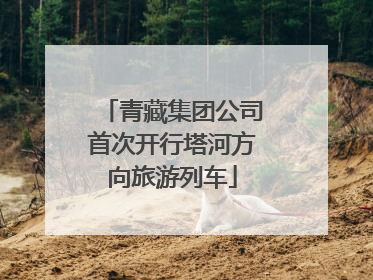 青藏集团公司首次开行塔河方向旅游列车