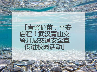 青警护苗，平安启程！武汉青山交警开展交通安全宣传进校园活动