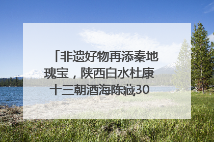 非遗好物再添秦地瑰宝，陕西白水杜康十三朝酒海陈藏30年别具一格