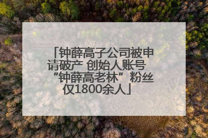 钟薛高子公司被申请破产 创始人账号“钟薛高老林”粉丝仅1800余人
