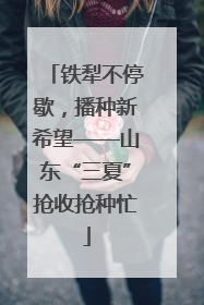 铁犁不停歇，播种新希望——山东“三夏”抢收抢种忙