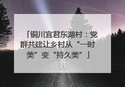 铜川宜君东湖村：党群共建让乡村从“一时美”变“持久美”