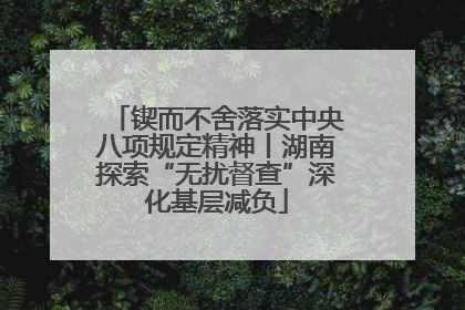 锲而不舍落实中央八项规定精神丨湖南探索“无扰督查”深化基层减负