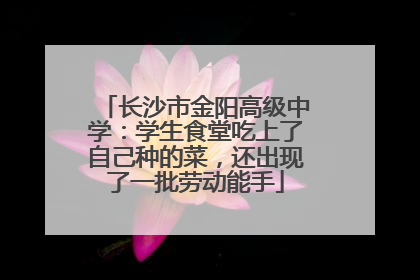 长沙市金阳高级中学：学生食堂吃上了自己种的菜，还出现了一批劳动能手