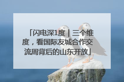 闪电深1度｜三个维度，看国际友城合作交流周背后的山东开放