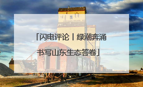 闪电评论丨绿潮奔涌 书写山东生态答卷