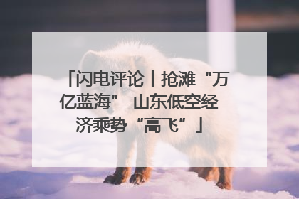 闪电评论丨抢滩“万亿蓝海” 山东低空经济乘势“高飞”