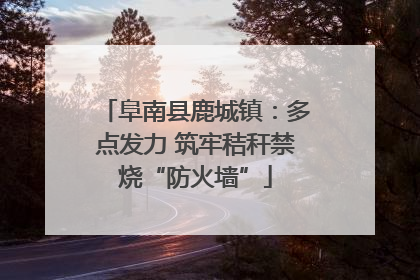阜南县鹿城镇：多点发力 筑牢秸秆禁烧“防火墙”