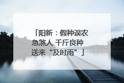 阳新：假种误农急煞人 千斤良种送来“及时雨”