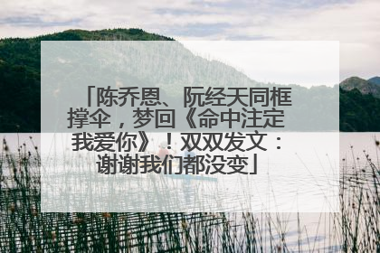 陈乔恩、阮经天同框撑伞，梦回《命中注定我爱你》！双双发文：谢谢我们都没变