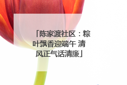 陈家渡社区：粽叶飘香迎端午 清风正气话清廉