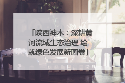 陕西神木：深耕黄河流域生态治理 绘就绿色发展新画卷
