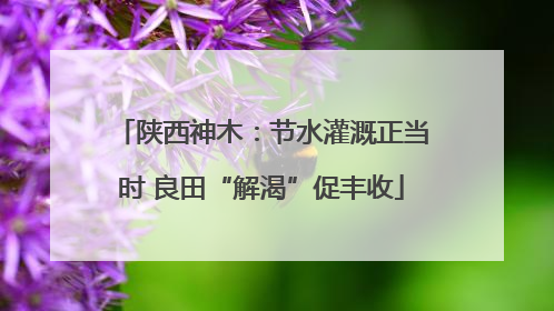 陕西神木：节水灌溉正当时 良田“解渴”促丰收
