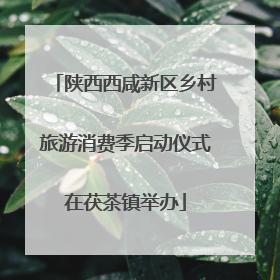 陕西西咸新区乡村旅游消费季启动仪式在茯茶镇举办